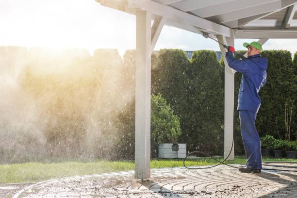 Best Building Exterior Washing  in Mangonia Park, FL